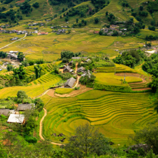 Atemberaubender Blick auf die Reisterrassen in Sapa, Vietnam, mit leuchtenden Herbstfarben und einem traditionellen Dorf.
